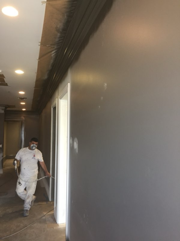 Commercial Painting Project